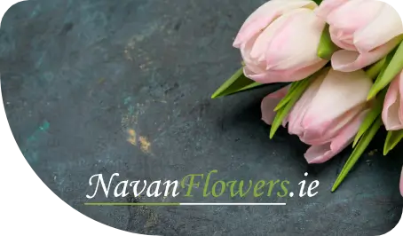 Navan flowers logo with pink tulips