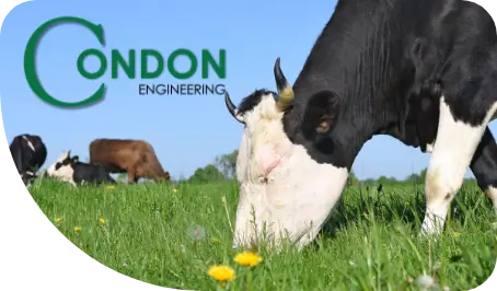 Condon Engineering logo with cow eating grass in background