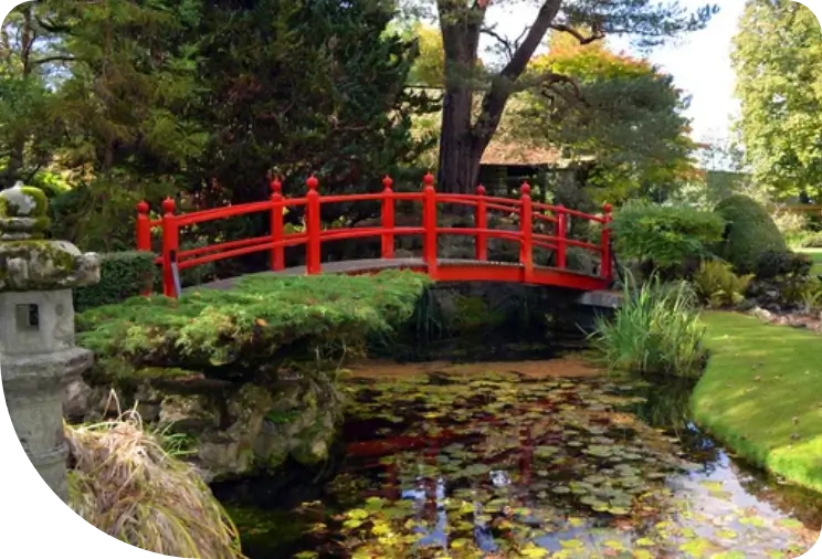 A vibrant red arched bridge over a pond with lily pads in a serene Japanese garden.