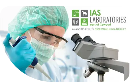 IAS Labs logo